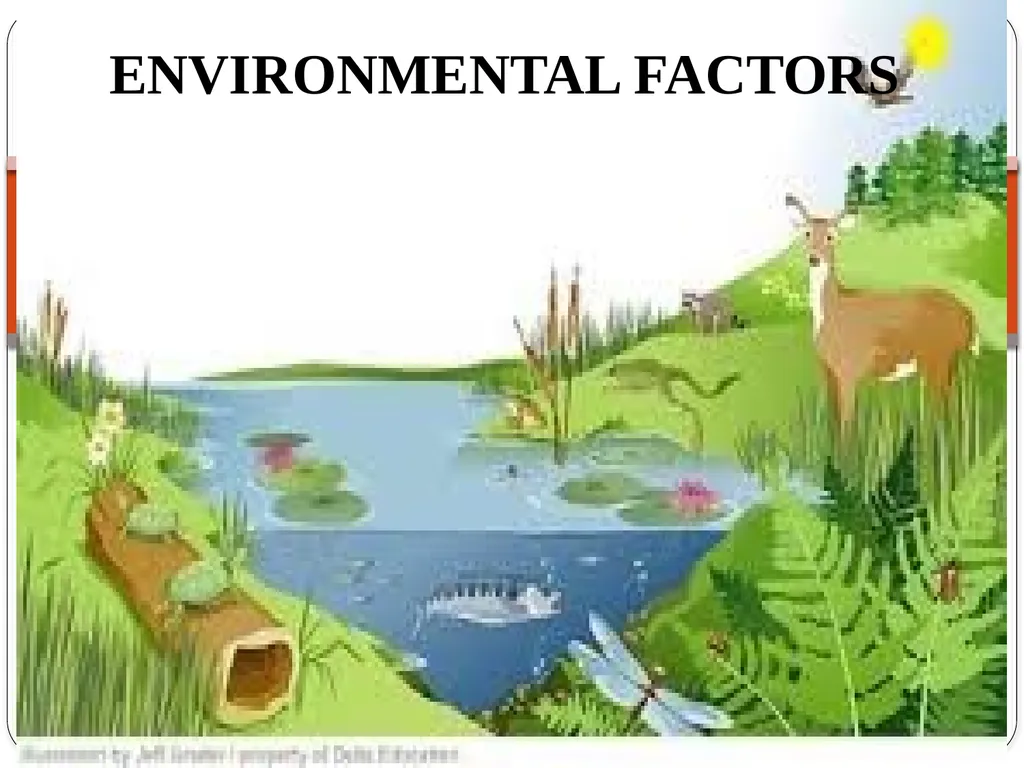 ENVIRONMENTAL FACTORS Objectives At the end of - slide 1 of 41