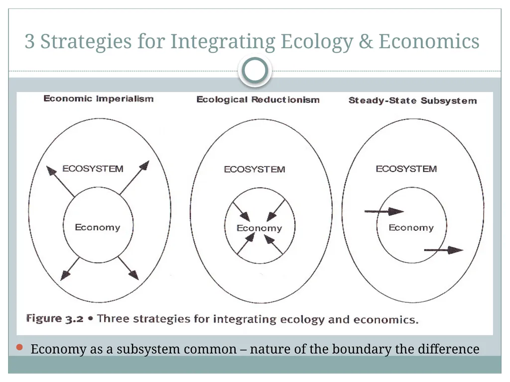 Chapter 3 – Ecological Economics Ends, Means, and - slide 9 of 14