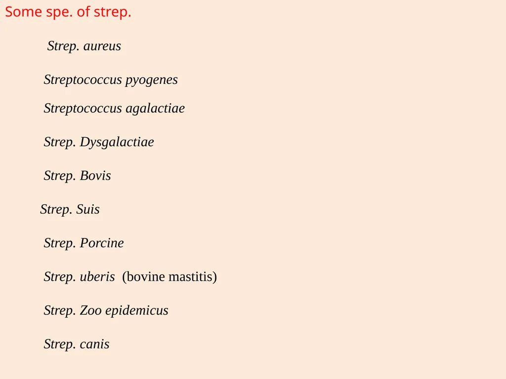 GENUS –STREPTOCOCCUS Dated-09/12/2020 2nd year - slide 6 of 28
