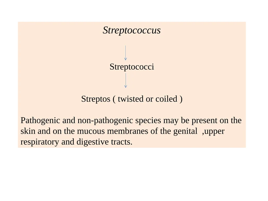 GENUS –STREPTOCOCCUS Dated-09/12/2020 2nd year - slide 2 of 28