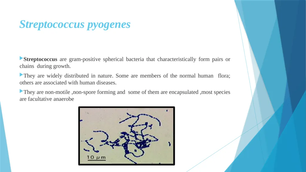 Pyogenic cocci: Genus Streptococcus Prof.Dr.Baydaa - slide 2 of 15