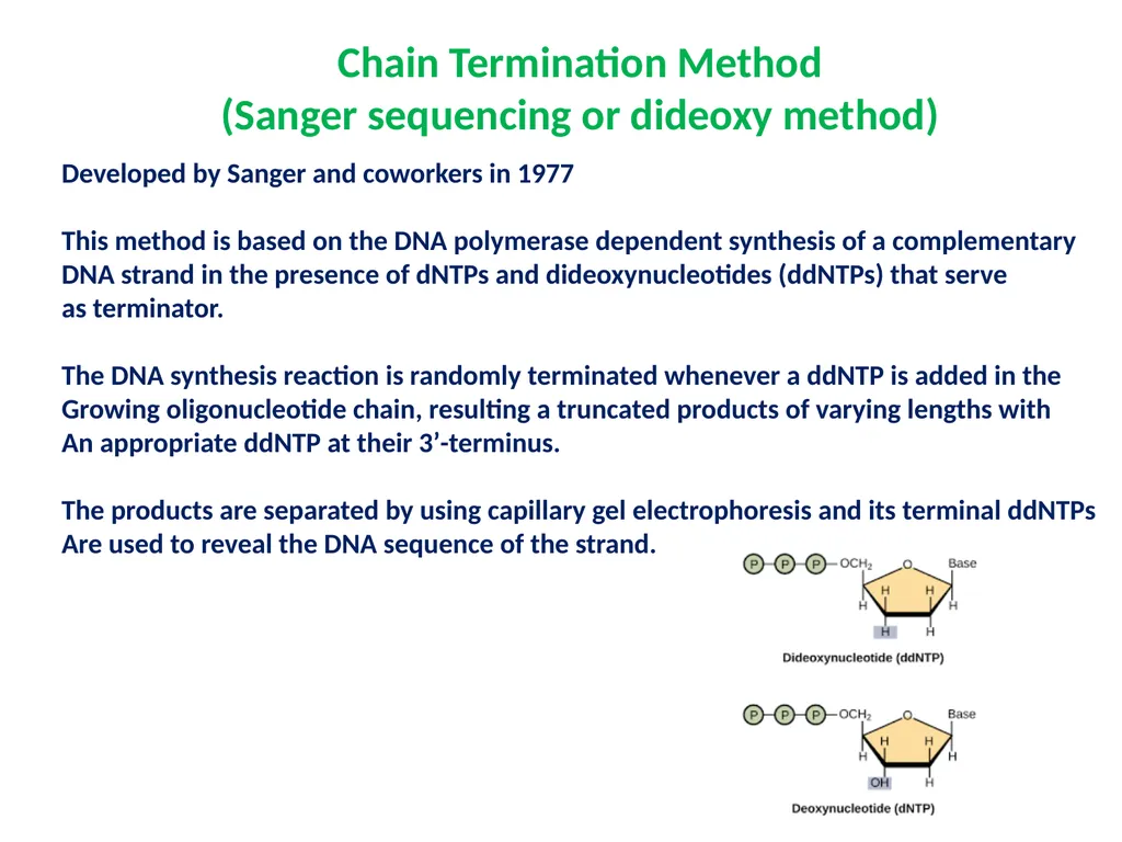 DNA sequencing is the process of determining the - slide 3 of 16
