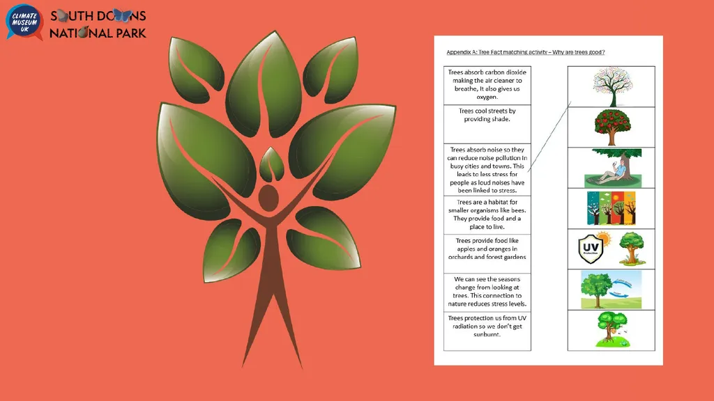 Taking a Leaf out of Nature’s book KS2 [50 mins] - slide 4 of 7