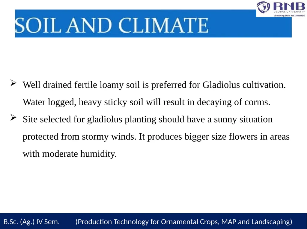 Course Name- Production Technology for Ornamental - slide 11 of 28