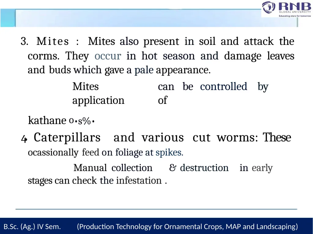 Course Name- Production Technology for Ornamental - slide 21 of 28