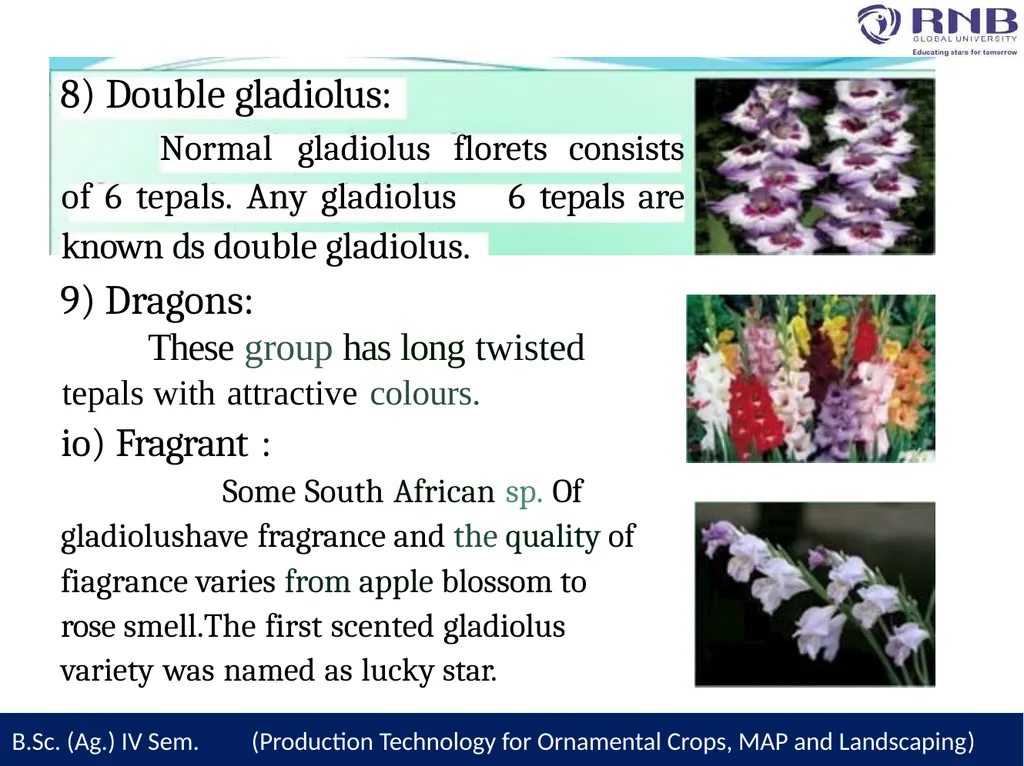 Course Name- Production Technology for Ornamental - slide 8 of 28