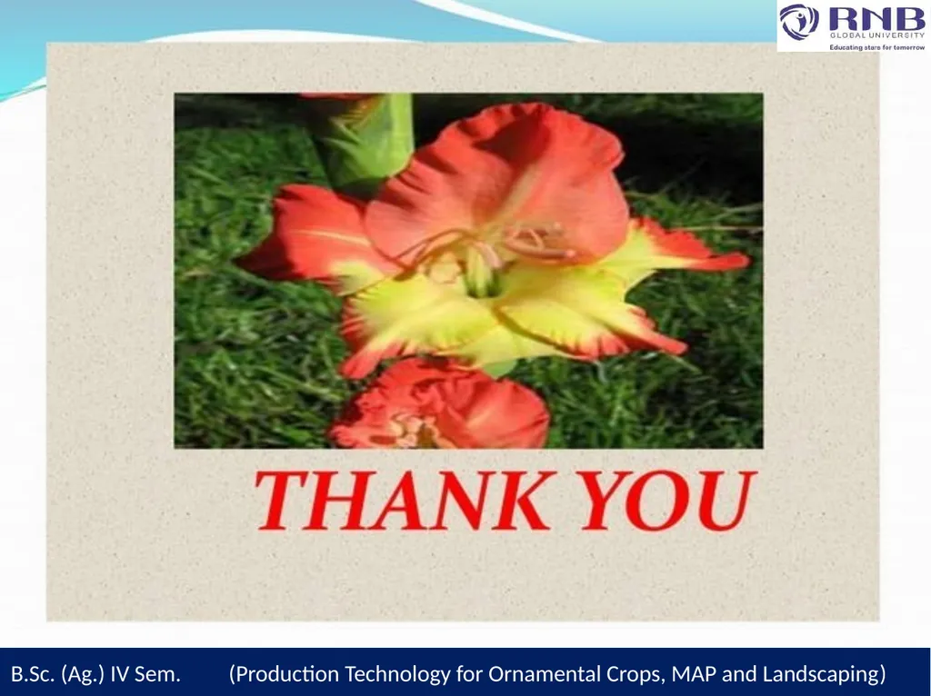 Course Name- Production Technology for Ornamental - slide 28 of 28