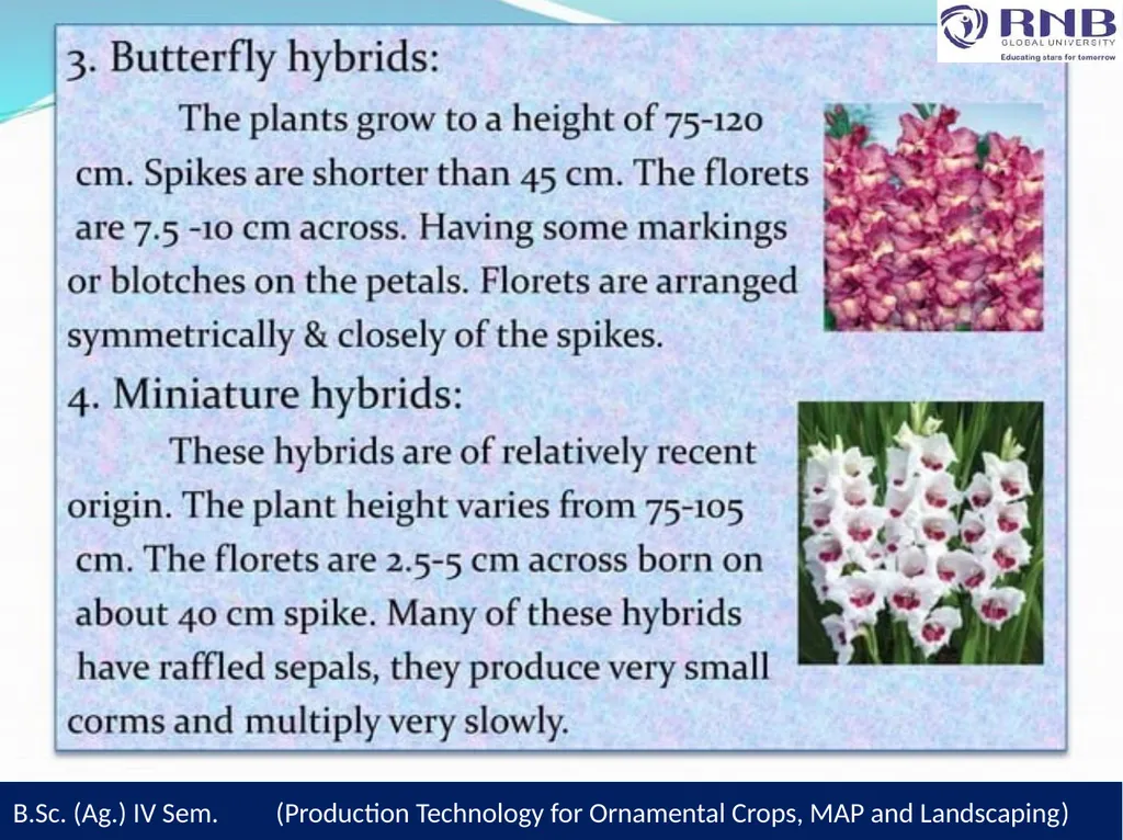 Course Name- Production Technology for Ornamental - slide 6 of 28