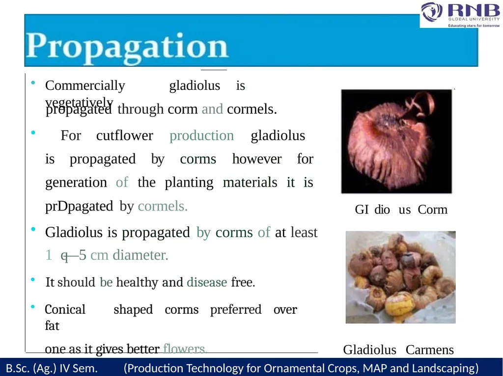 Course Name- Production Technology for Ornamental - slide 10 of 28