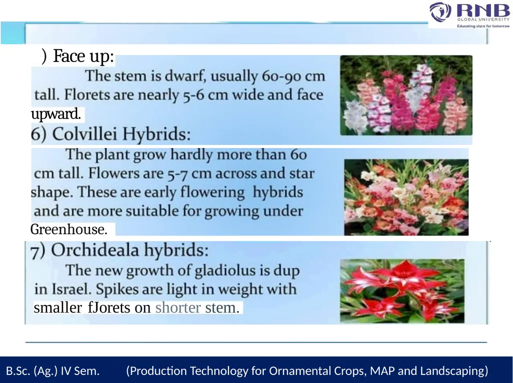 Course Name- Production Technology for Ornamental - slide 7 of 28