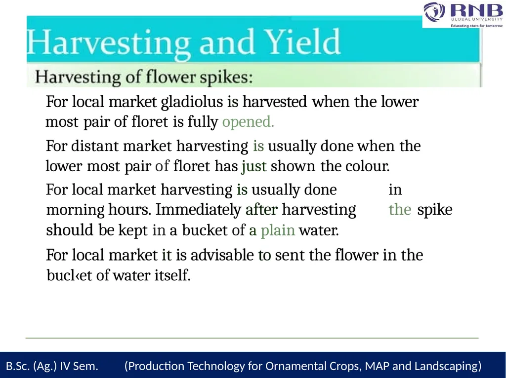 Course Name- Production Technology for Ornamental - slide 22 of 28