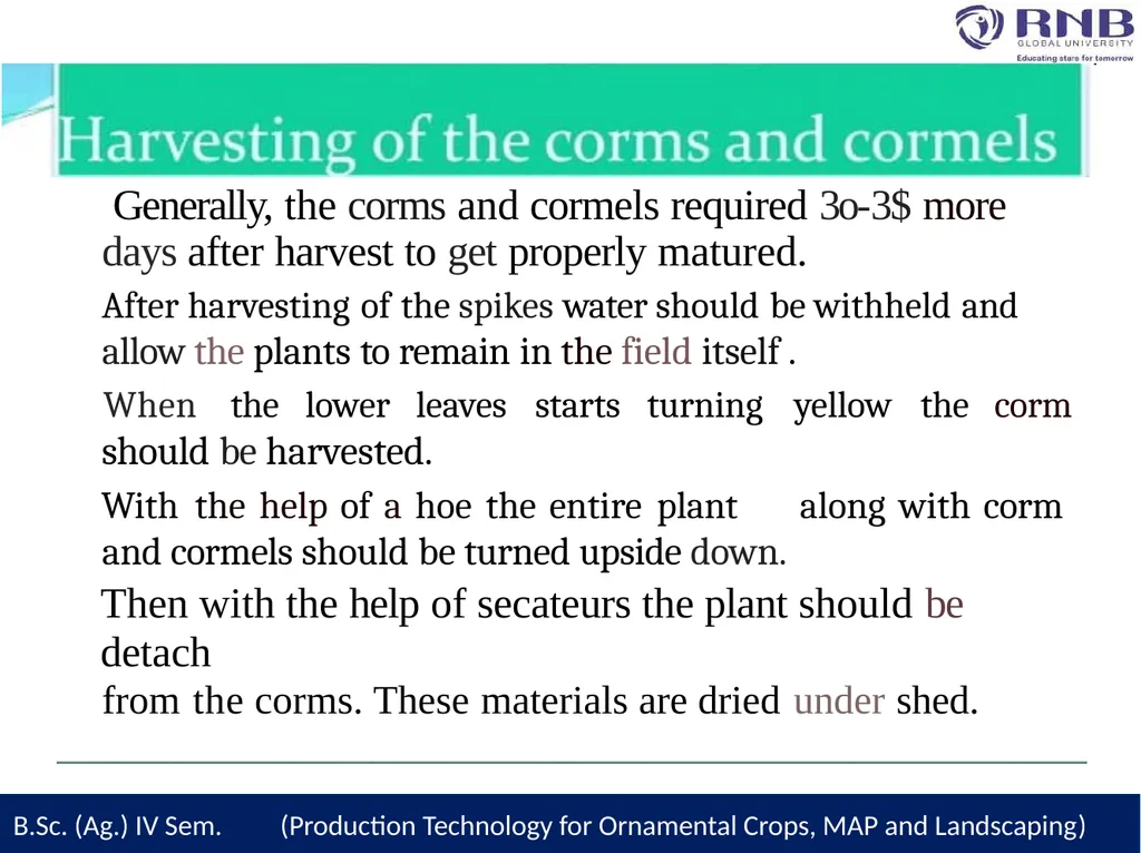 Course Name- Production Technology for Ornamental - slide 25 of 28