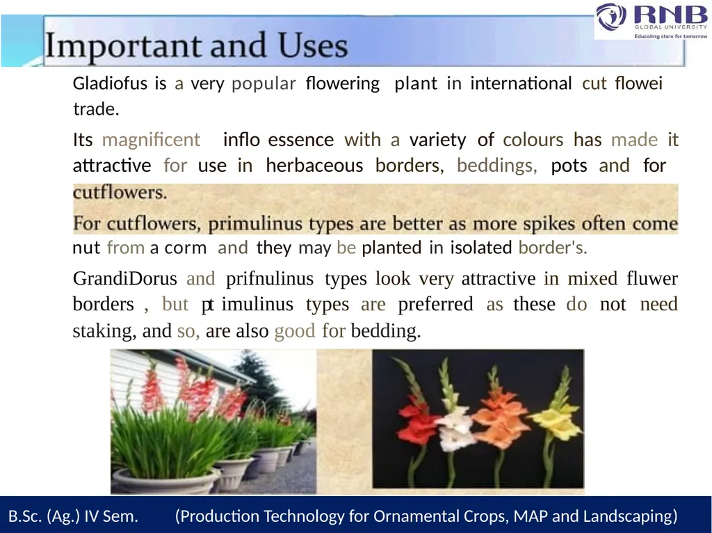 Course Name- Production Technology for Ornamental - slide 4 of 28