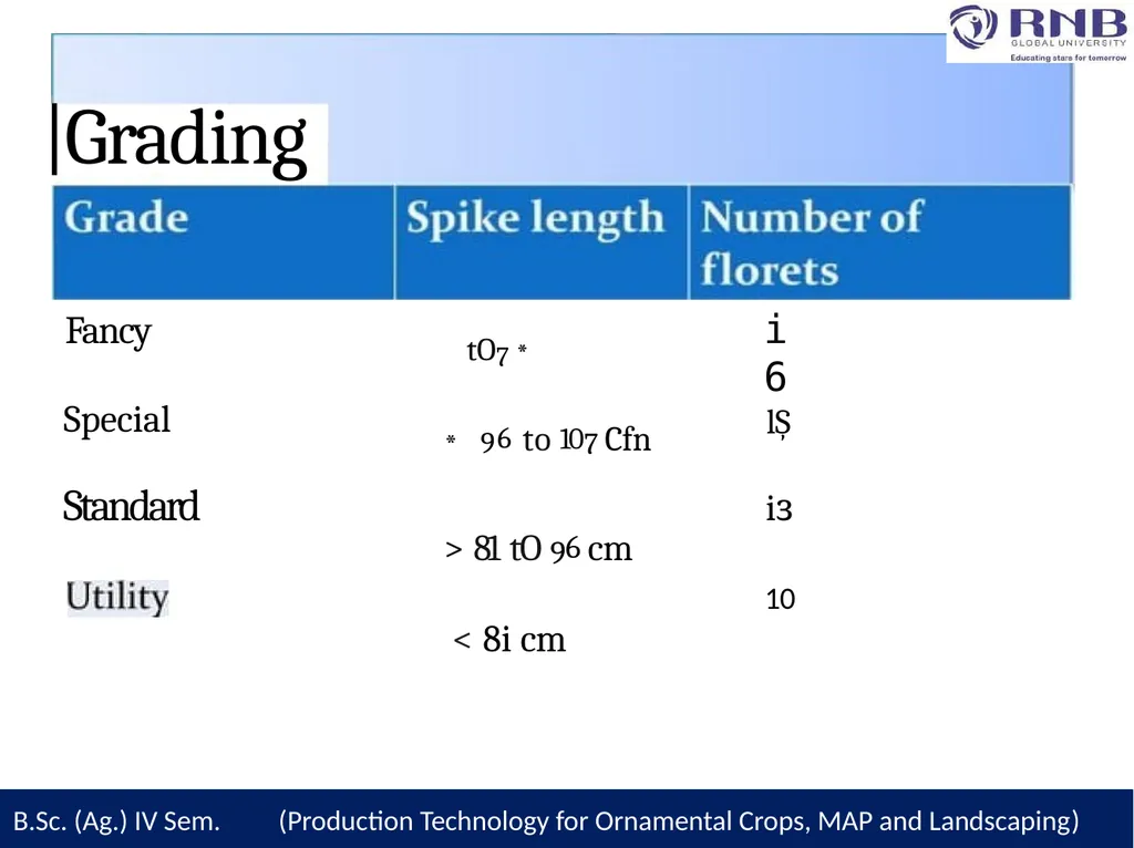 Course Name- Production Technology for Ornamental - slide 24 of 28