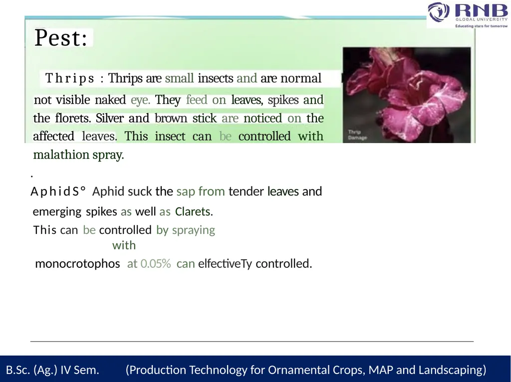 Course Name- Production Technology for Ornamental - slide 20 of 28