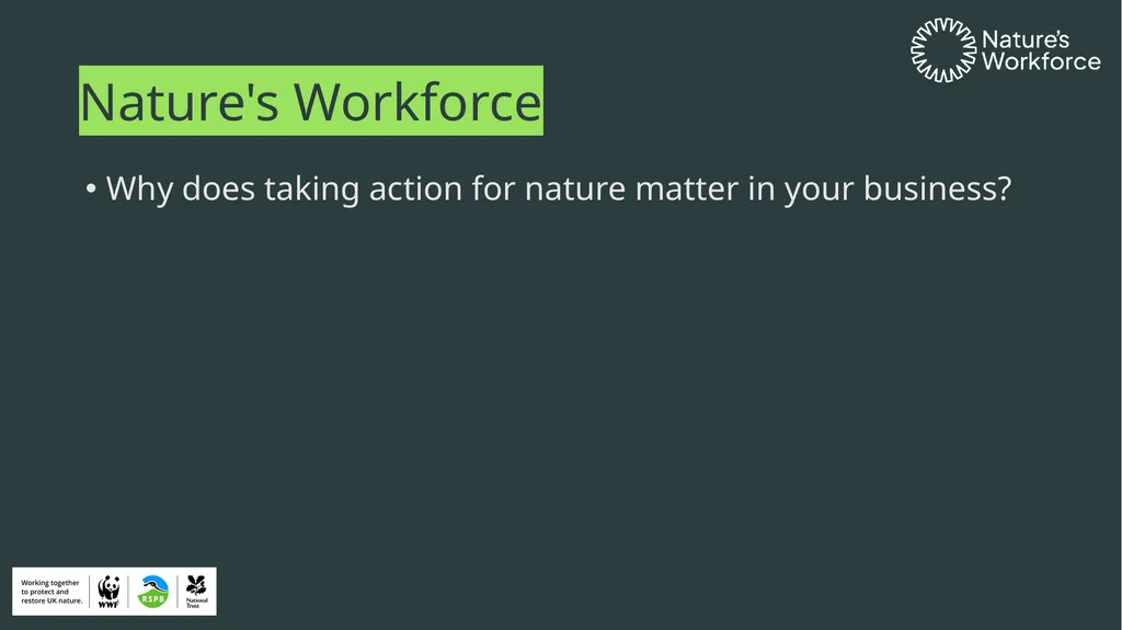 This template is designed to give you a starting - slide 5 of 12