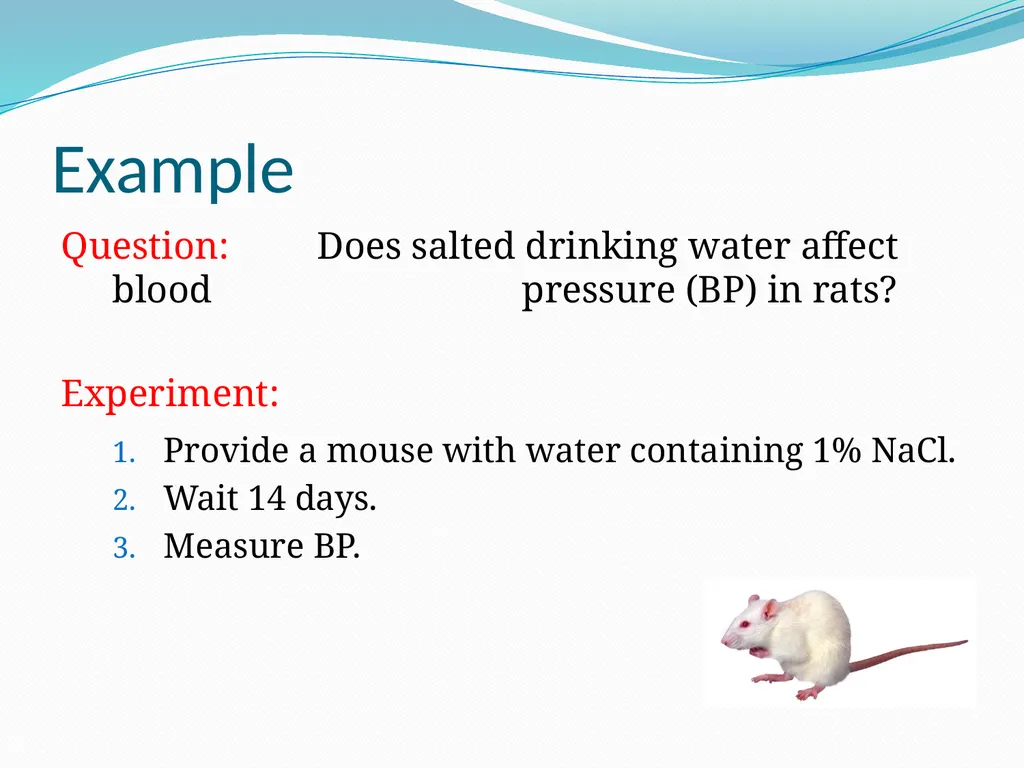 Stats for Rats Statistical Considerations in Basic - slide 9 of 52