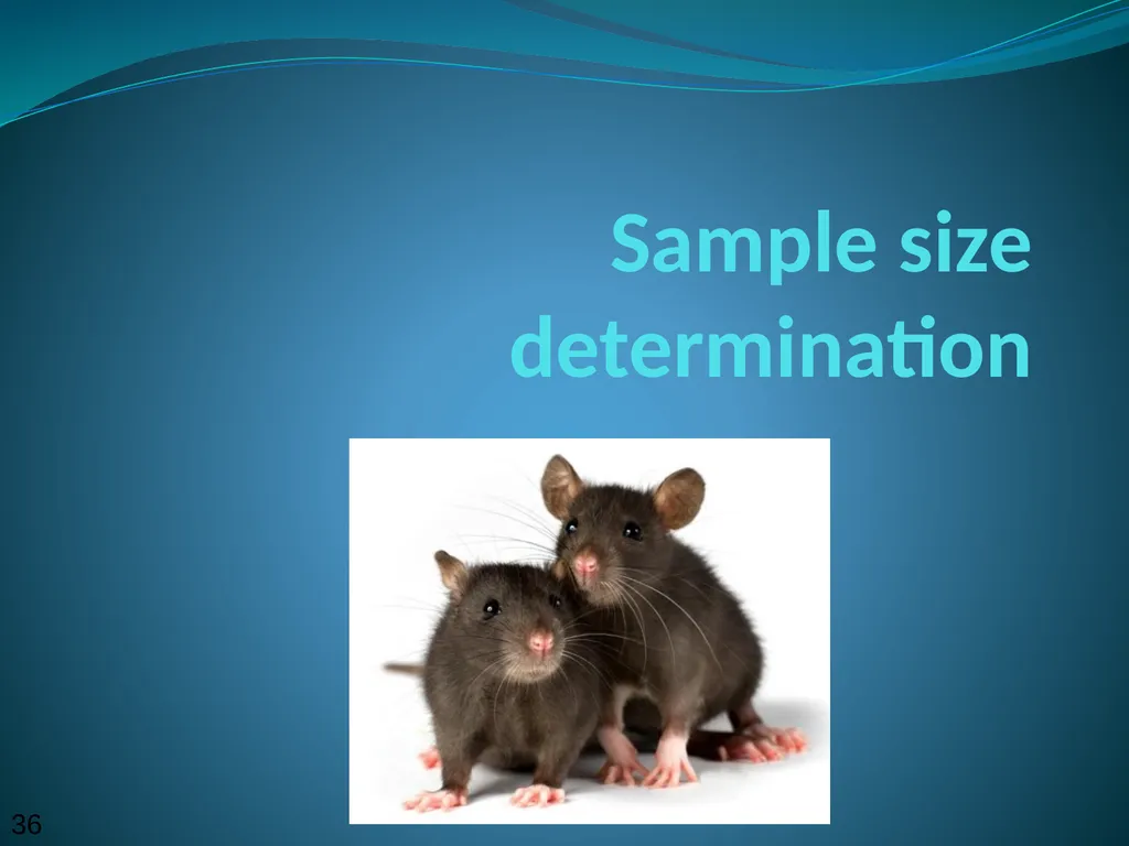 Stats for Rats Statistical Considerations in Basic - slide 36 of 52