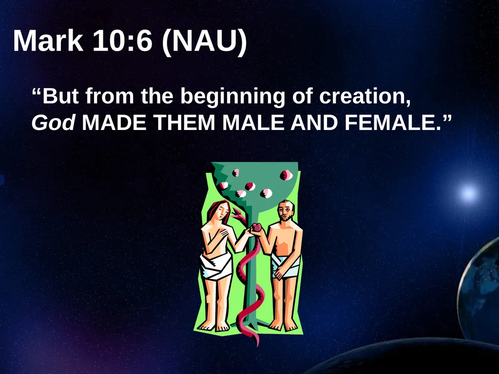 Creation Outside Genesis: The Panorama of - slide 29 of 55