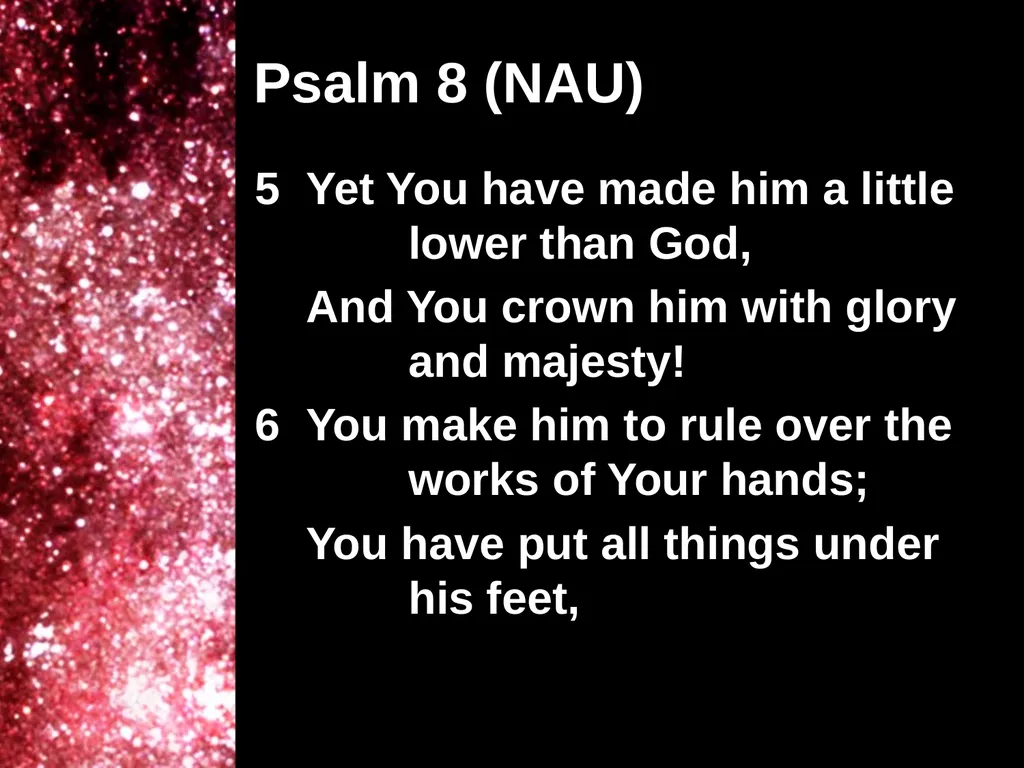 Creation Outside Genesis: The Panorama of - slide 13 of 55