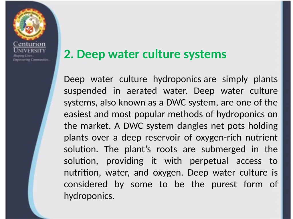 Lecture 6 Deep water culture, Ebb & Flow, 2. Deep - slide 2 of 7