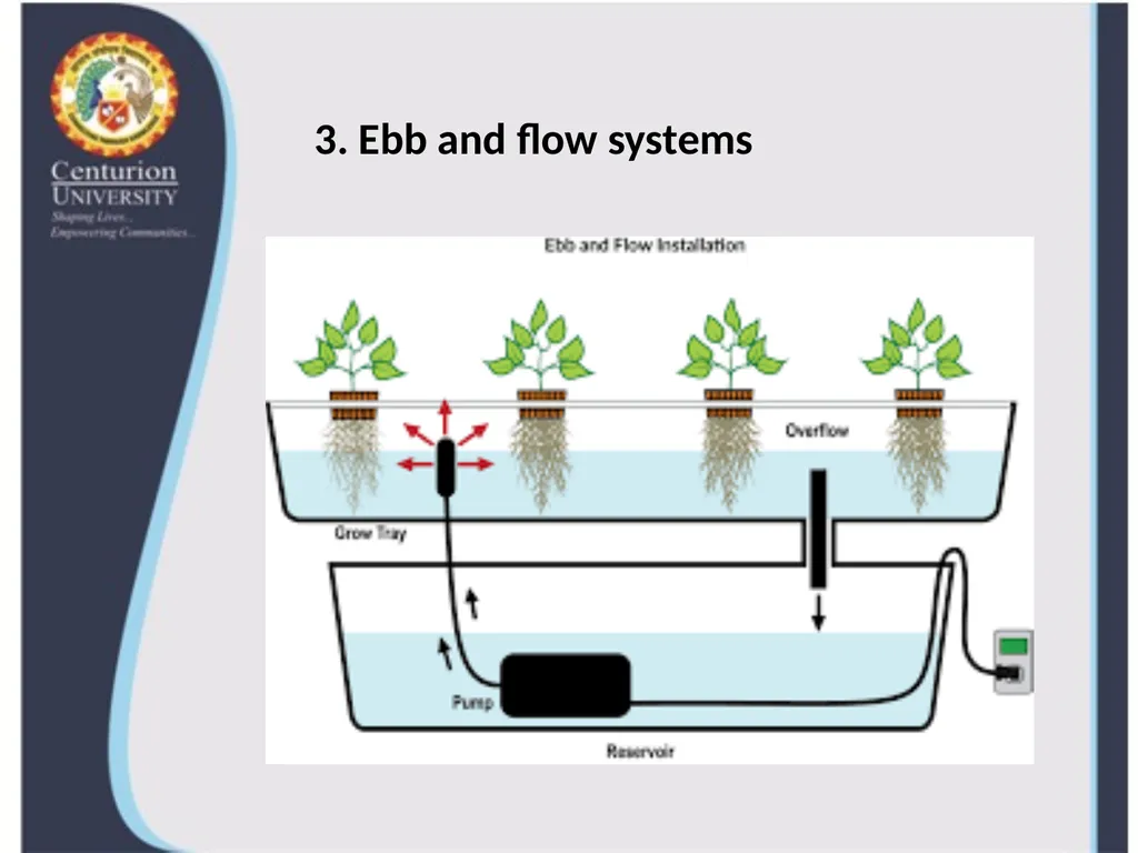Lecture 6 Deep water culture, Ebb & Flow, 2. Deep - slide 5 of 7