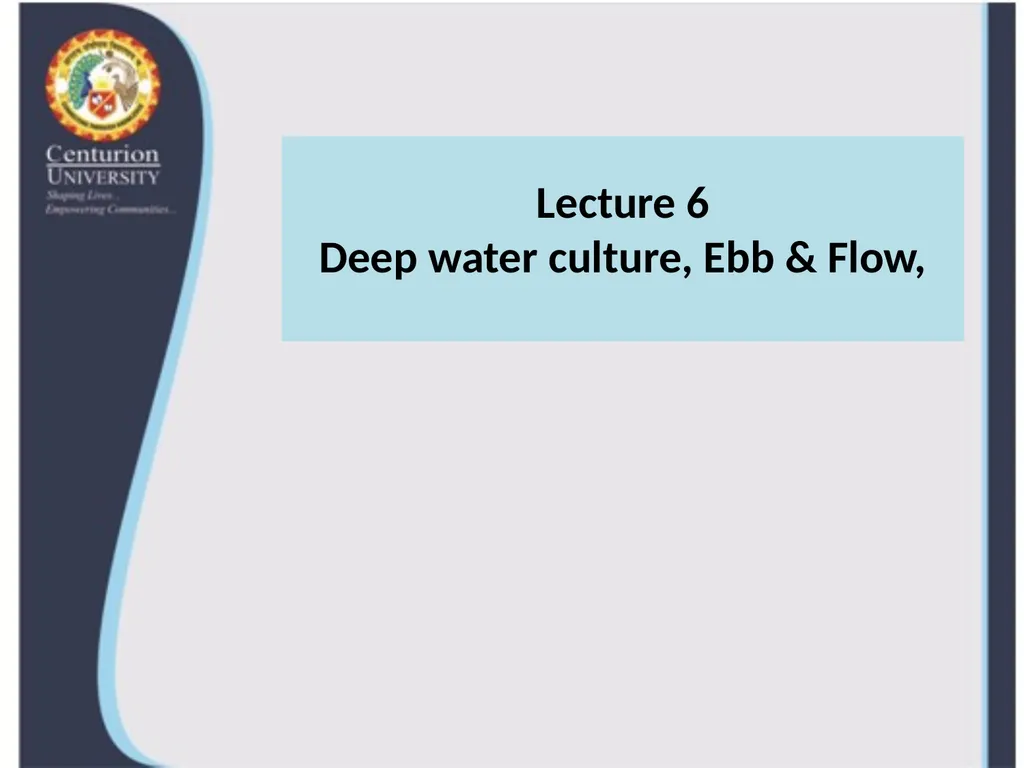 Lecture 6 Deep water culture, Ebb & Flow, 2. Deep - slide 1 of 7
