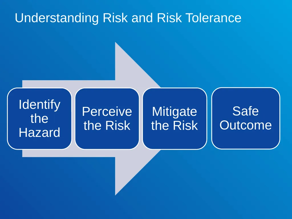 Risk Tolerance in the Workplace ExxonMobil Global - slide 6 of 24