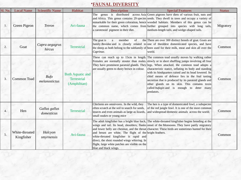 Scheme for the CBCS Curriculum General Course: - slide 26 of 28