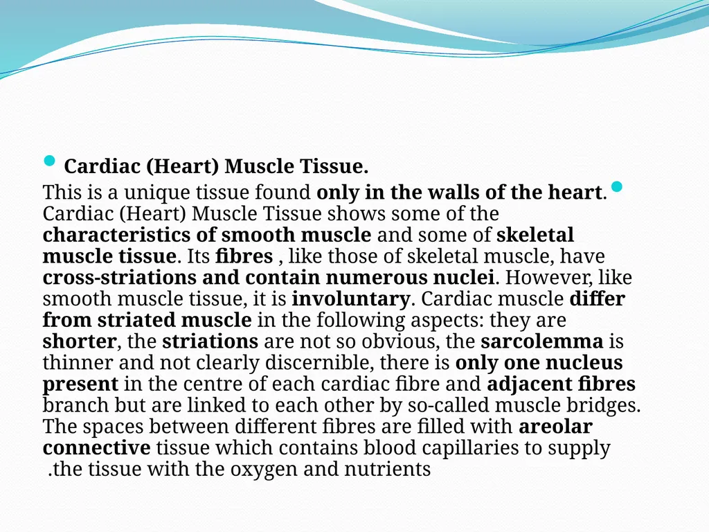 Muscular tissue Muscle is a soft tissue found in - slide 14 of 15
