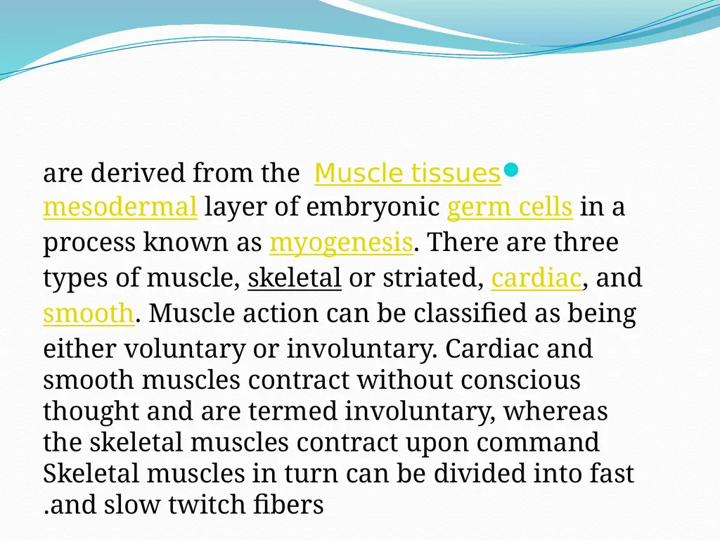 Muscular tissue Muscle is a soft tissue found in - slide 3 of 15
