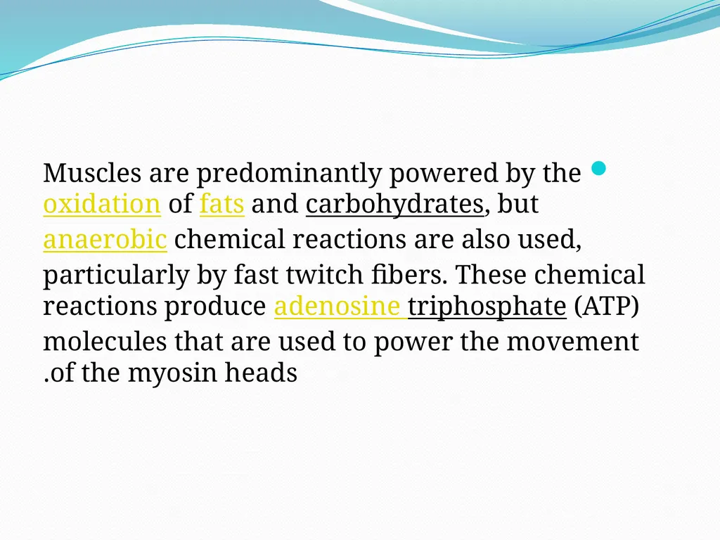 Muscular tissue Muscle is a soft tissue found in - slide 7 of 15