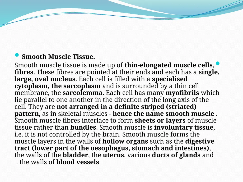Muscular tissue Muscle is a soft tissue found in - slide 9 of 15