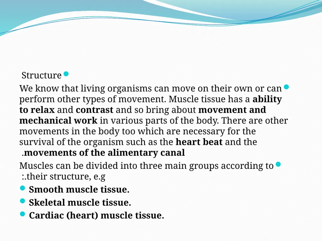 Muscular tissue Muscle is a soft tissue found in - slide 6 of 15