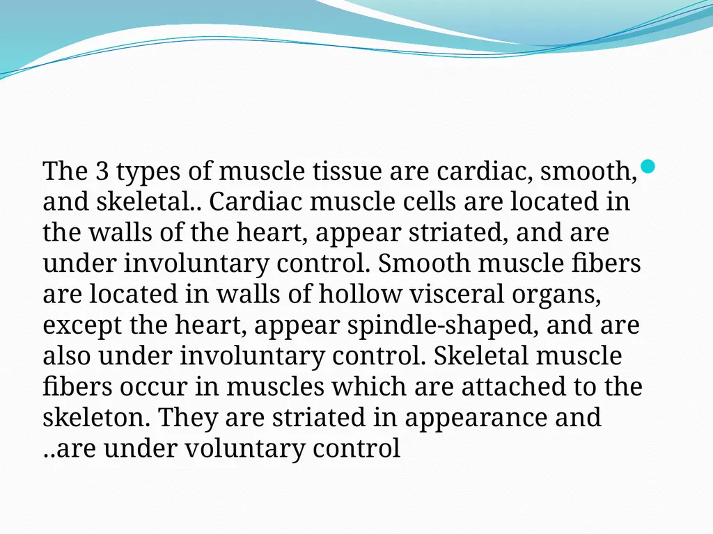 Muscular tissue Muscle is a soft tissue found in - slide 5 of 15