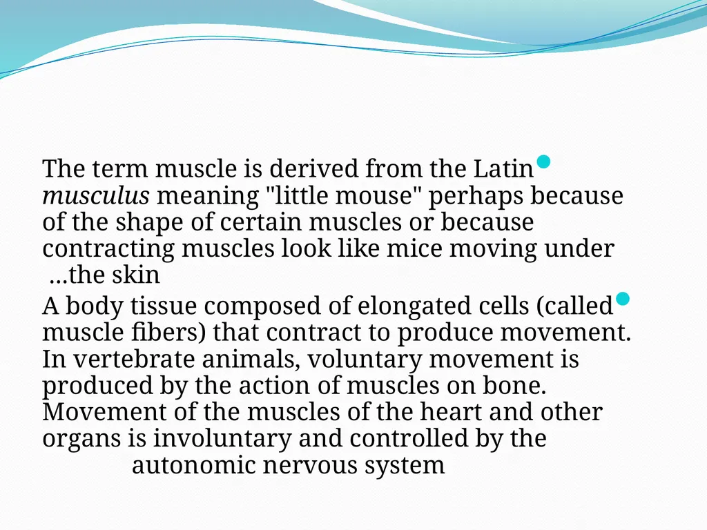 Muscular tissue Muscle is a soft tissue found in - slide 4 of 15
