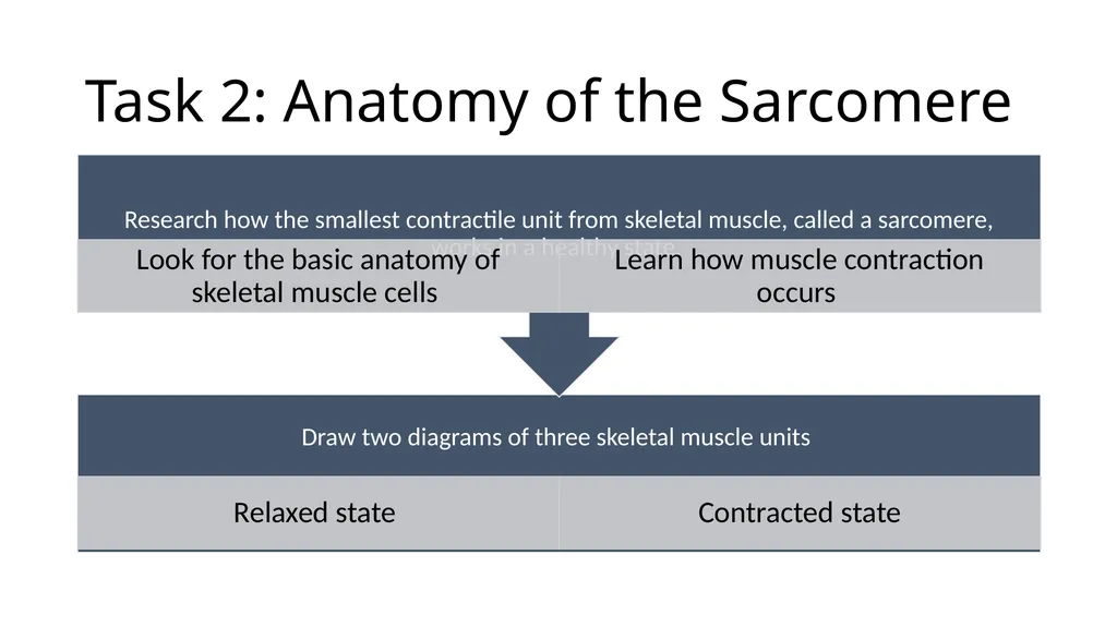 NGSS Connections to the Skeletal Muscle Module - slide 10 of 26