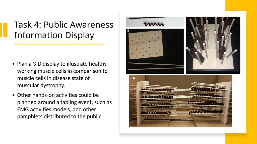 NGSS Connections to the Skeletal Muscle Module - slide 25 of 26