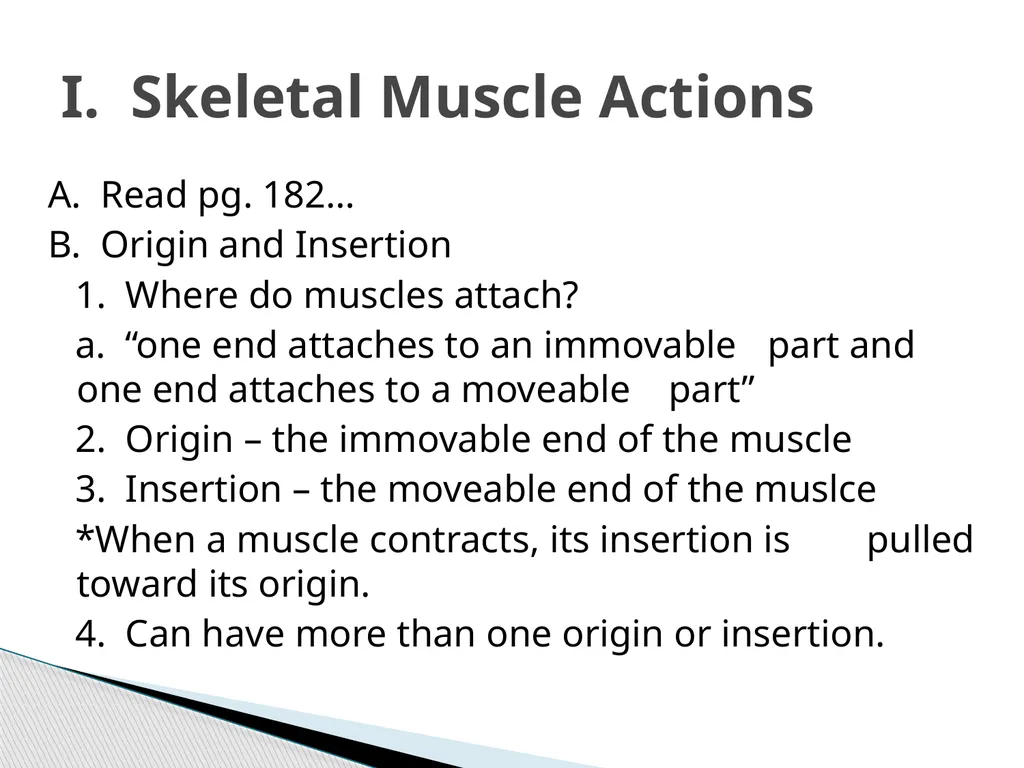 HAP Chapter 8 Muscular System 8.7-8.8 A. Read pg. - slide 2 of 14