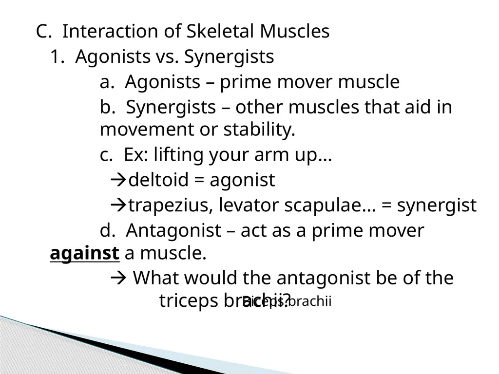 HAP Chapter 8 Muscular System 8.7-8.8 A. Read pg. - slide 4 of 14