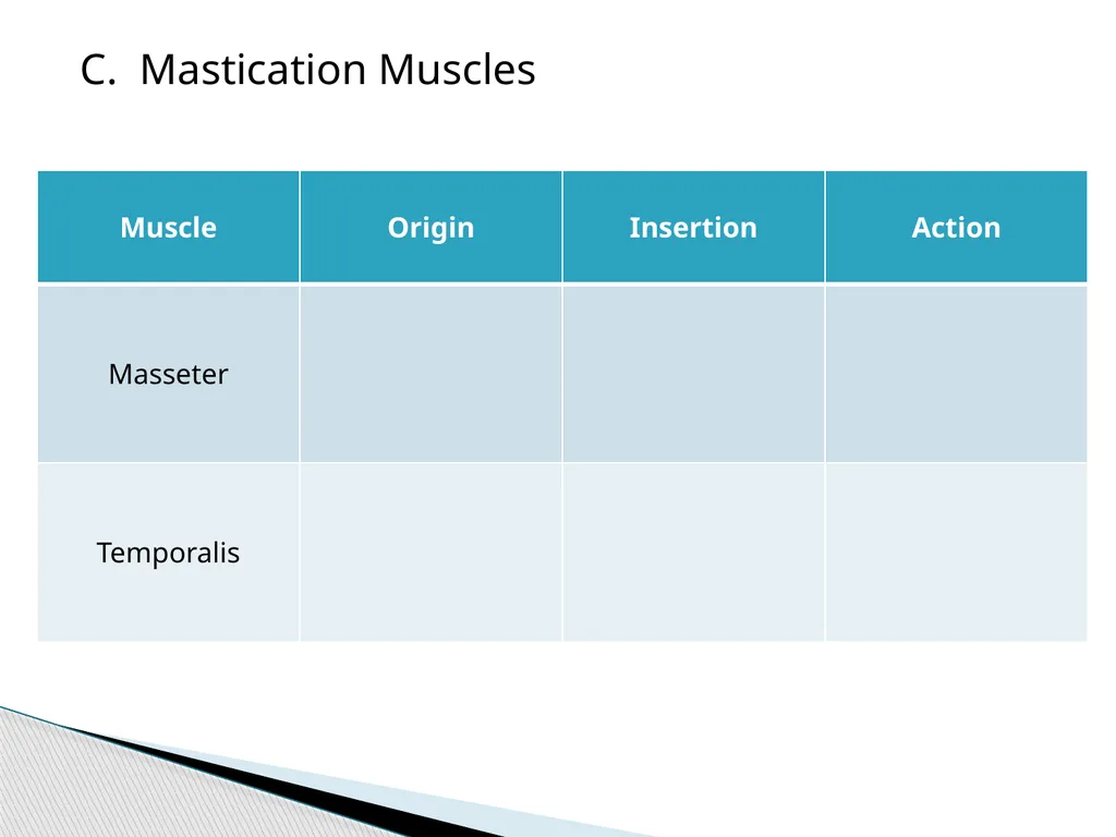 HAP Chapter 8 Muscular System 8.7-8.8 A. Read pg. - slide 7 of 14