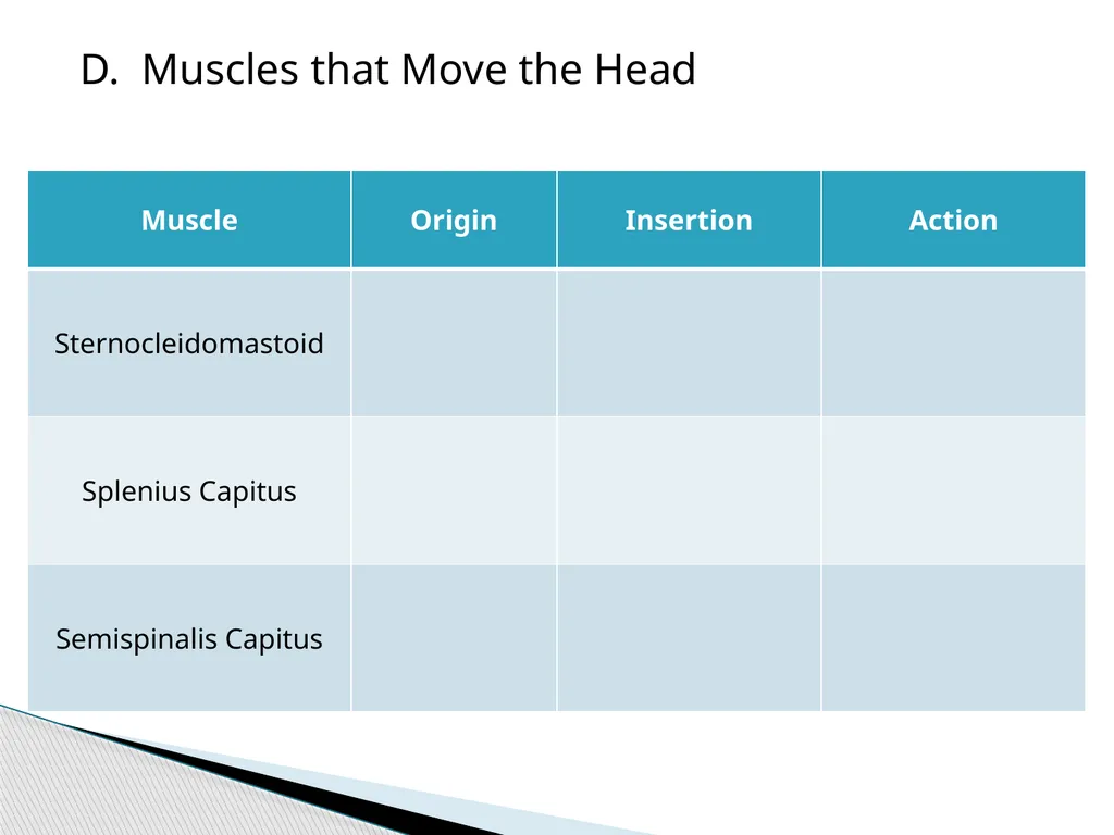 HAP Chapter 8 Muscular System 8.7-8.8 A. Read pg. - slide 8 of 14