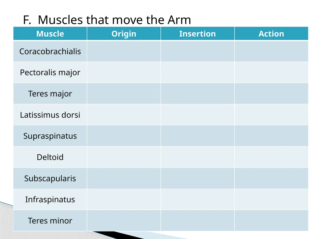 HAP Chapter 8 Muscular System 8.7-8.8 A. Read pg. - slide 10 of 14