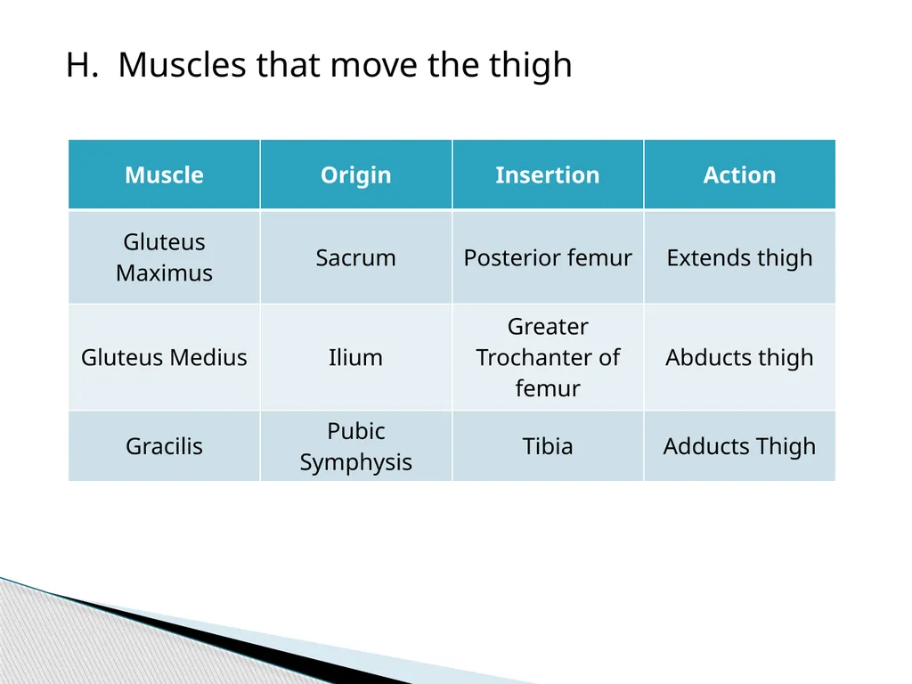 HAP Chapter 8 Muscular System 8.7-8.8 A. Read pg. - slide 12 of 14