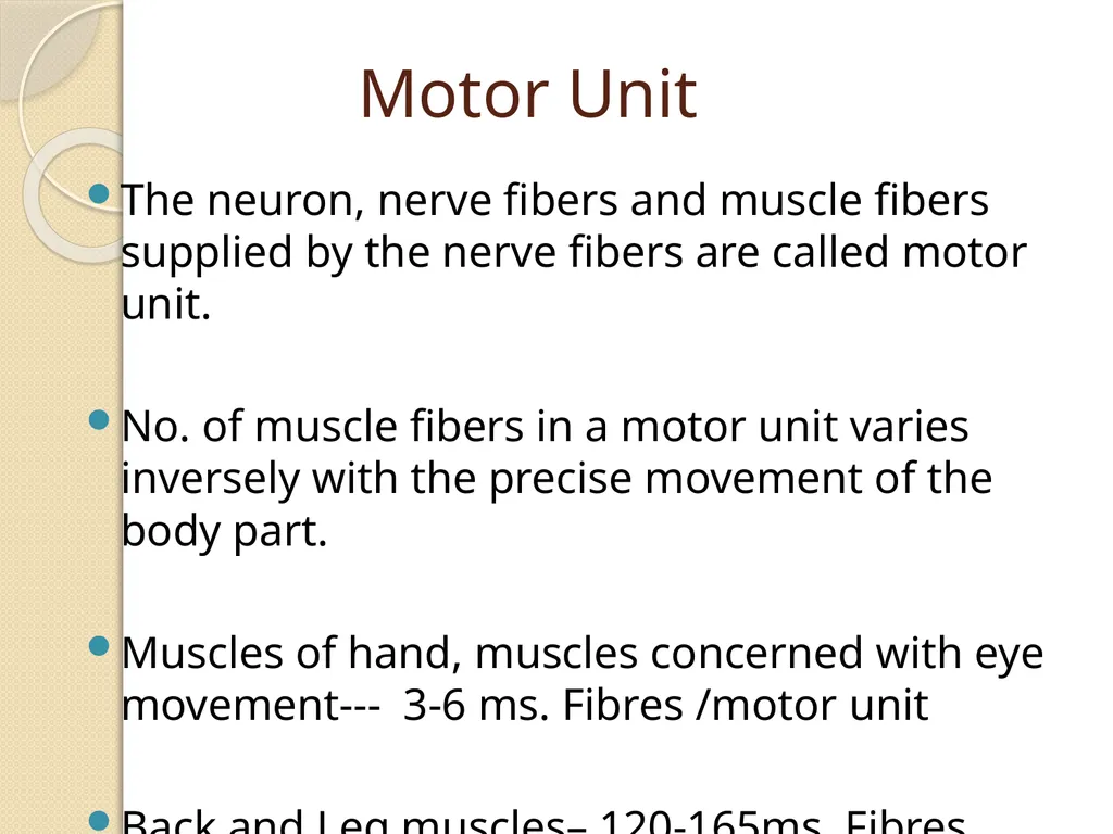 Effect of various strength of stimuli on skeletal - slide 4 of 9