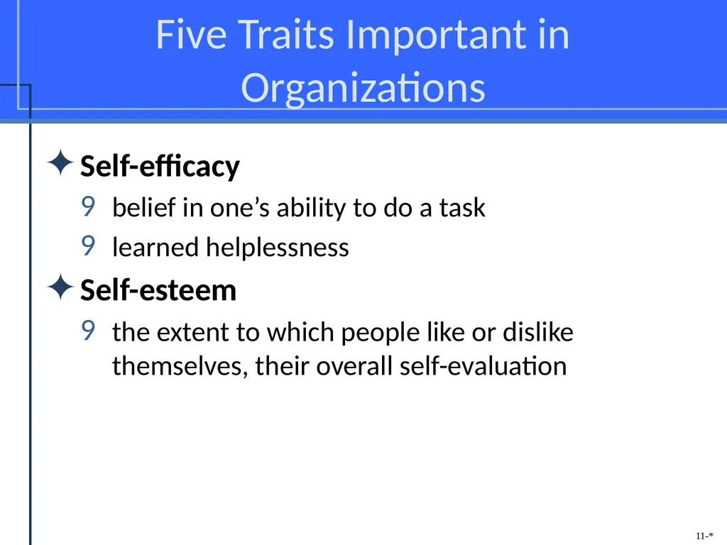 Chapter Eleven Managing Individual Differences & - slide 12 of 45
