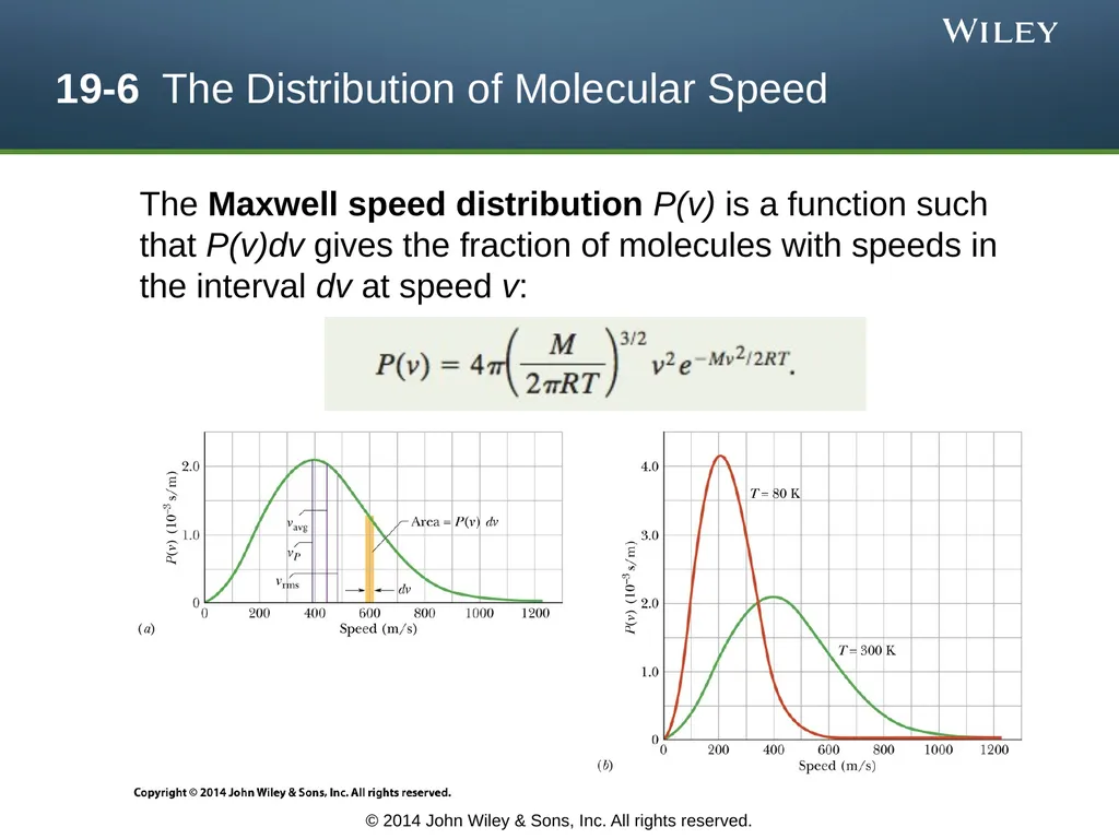 The Kinetic Theory of Gases Chapter 19 Copyright © - slide 15 of 27
