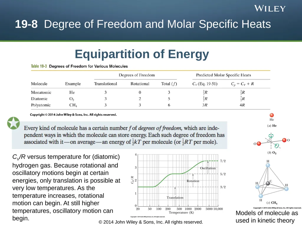 The Kinetic Theory of Gases Chapter 19 Copyright © - slide 23 of 27