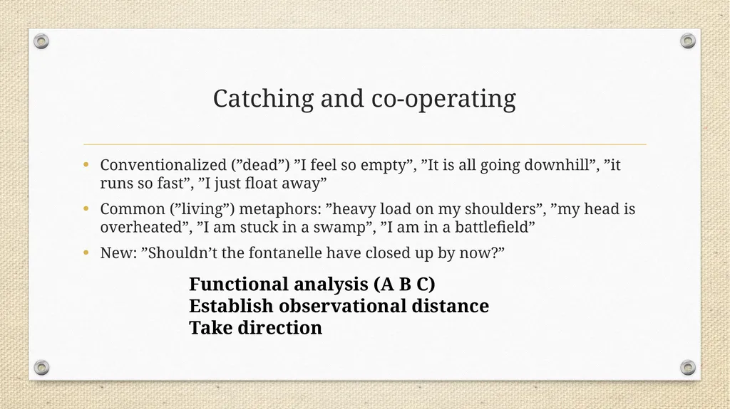 Metaphor in Psychotherapy Niklas Törneke The - slide 20 of 23