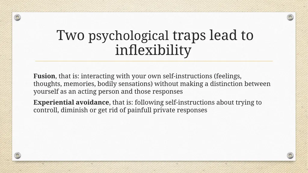 Metaphor in Psychotherapy Niklas Törneke The - slide 16 of 23